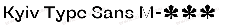 Kyiv Type Sans M字体转换